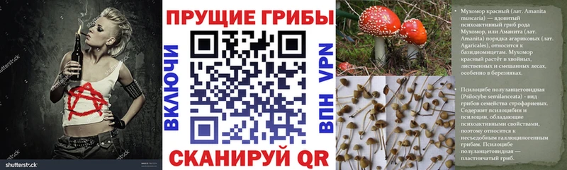 закладки  Костомукша  Псилоцибиновые грибы MAGIC MUSHROOMS 