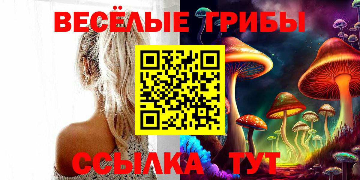 Костомукша  Галлюциногенные грибы прущие грибы  Вход с VPN 