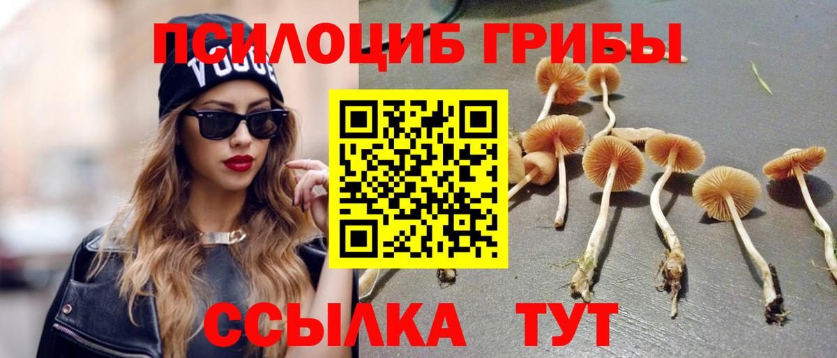 Галлюциногенные грибы MAGIC MUSHROOMS Костомукша